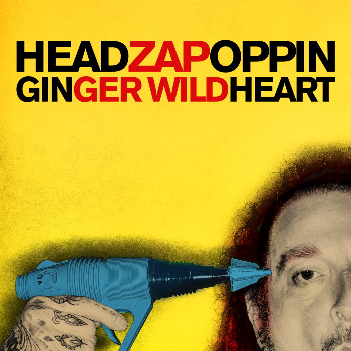 Headzapoppin solo album